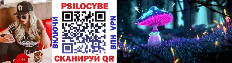 Галлюциногенные грибы Psilocybe  Змеиногорск 